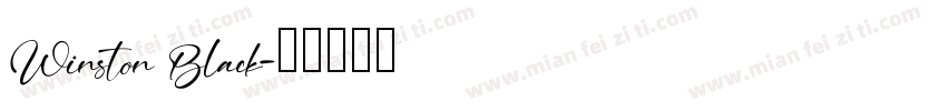 Winston Black字体转换